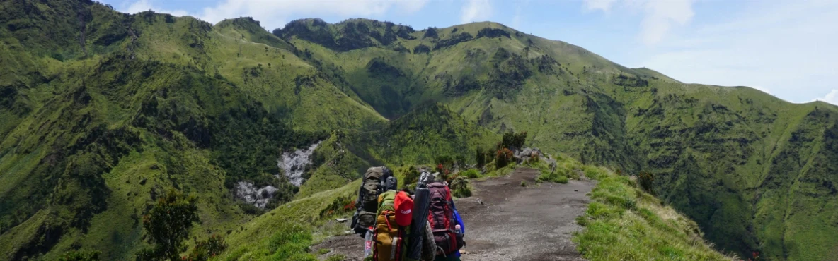 Top Scenic Hiking Trails in San Francisco You Must Explore