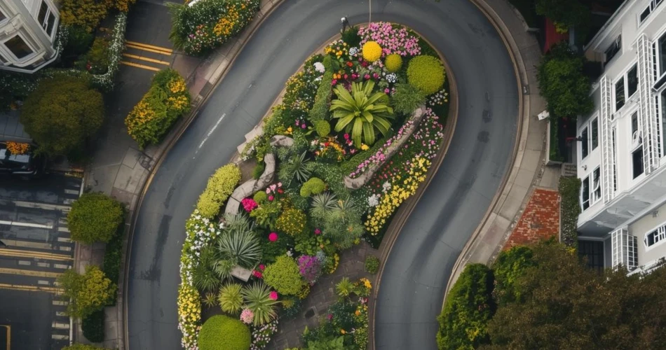 San Francisco Travel Guide: Best Attractions, Iconic Landmarks & Hidden Gems to Explore